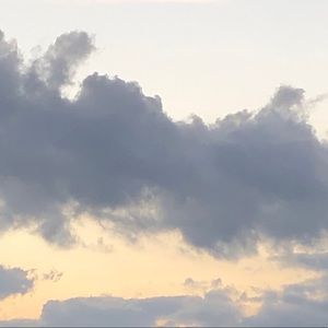 Meet your Posher, Mia